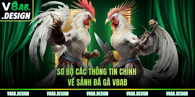 Sơ bộ các thông tin chính về sảnh đá gà V8AB