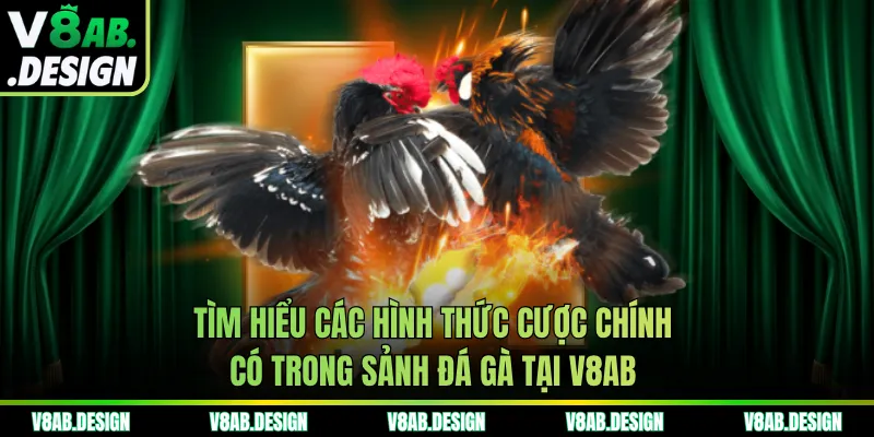 Tìm hiểu các hình thức cược chính có trong sảnh đá gà tại V8AB